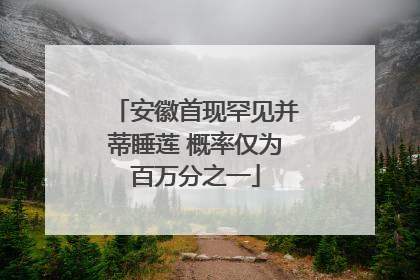 安徽首现罕见并蒂睡莲 概率仅为百万分之一