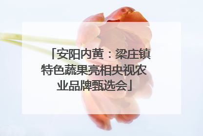 安阳内黄：梁庄镇特色蔬果亮相央视农业品牌甄选会