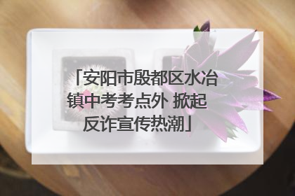 安阳市殷都区水冶镇中考考点外 掀起反诈宣传热潮
