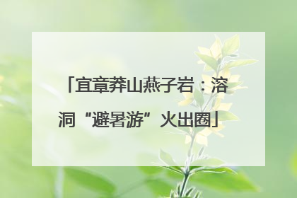 宜章莽山燕子岩：溶洞“避暑游”火出圈