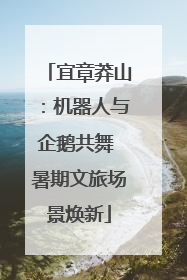 宜章莽山：机器人与企鹅共舞 暑期文旅场景焕新