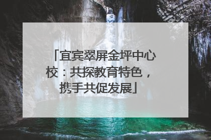 宜宾翠屏金坪中心校：共探教育特色，携手共促发展