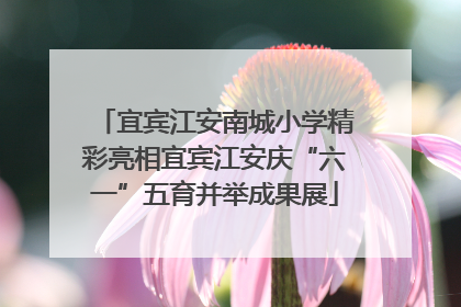 宜宾江安南城小学精彩亮相宜宾江安庆“六一”五育并举成果展