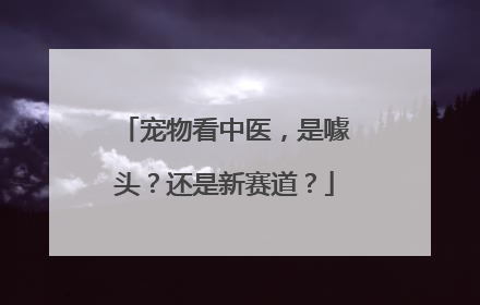 宠物看中医，是噱头？还是新赛道？