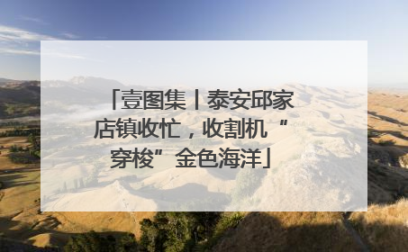 壹图集丨泰安邱家店镇收忙，收割机“穿梭”金色海洋