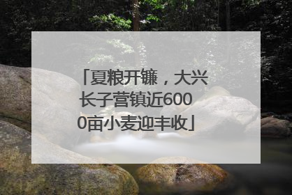夏粮开镰，大兴长子营镇近6000亩小麦迎丰收