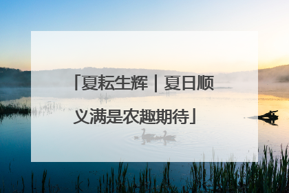 夏耘生辉｜夏日顺义满是农趣期待