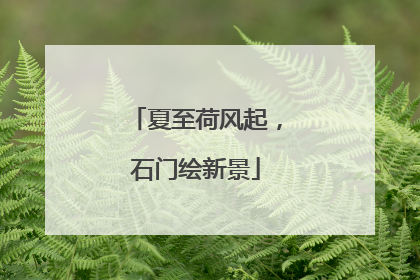 夏至荷风起，石门绘新景