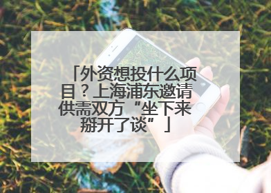 外资想投什么项目？上海浦东邀请供需双方“坐下来掰开了谈”