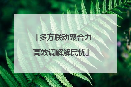 多方联动聚合力 高效调解解民忧