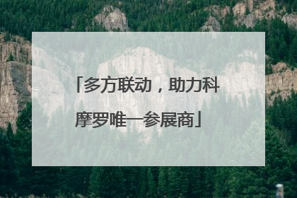 多方联动，助力科摩罗唯一参展商