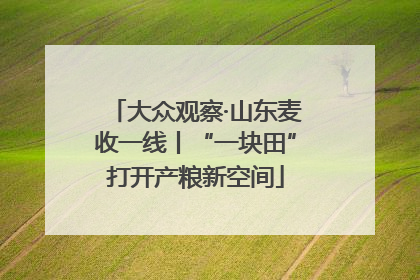 大众观察·山东麦收一线丨“一块田”打开产粮新空间
