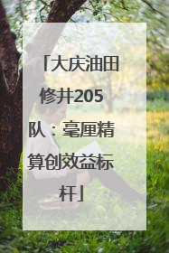 大庆油田修井205队：毫厘精算创效益标杆