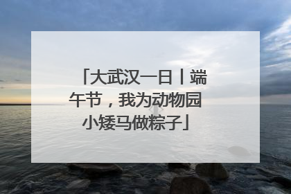 大武汉一日丨端午节，我为动物园小矮马做粽子