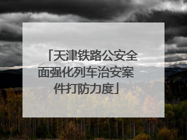 天津铁路公安全面强化列车治安案件打防力度