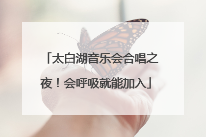 太白湖音乐会合唱之夜！会呼吸就能加入