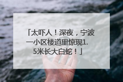 太吓人！深夜，宁波一小区楼道里惊现1.5米长大白蛇！