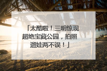 太酷啦！三明惊现超绝宝藏公园，拍照遛娃两不误！