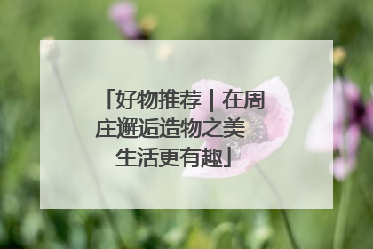 好物推荐｜在周庄邂逅造物之美 生活更有趣