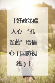 好政策暖人心 “孔雀蓝”增信心（国防视线）
