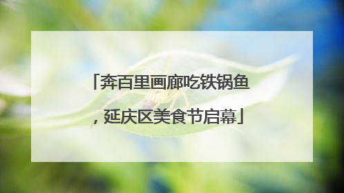 奔百里画廊吃铁锅鱼，延庆区美食节启幕