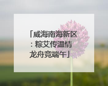 威海南海新区：粽艾传温情 龙舟竞端午