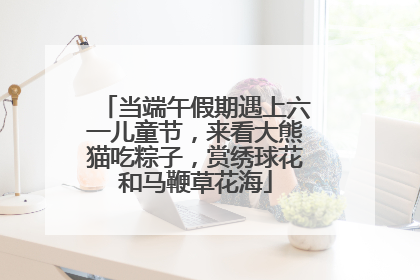 当端午假期遇上六一儿童节，来看大熊猫吃粽子，赏绣球花和马鞭草花海