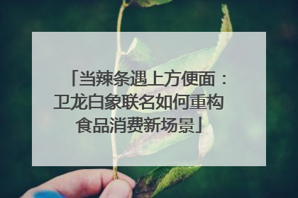 当辣条遇上方便面：卫龙白象联名如何重构食品消费新场景
