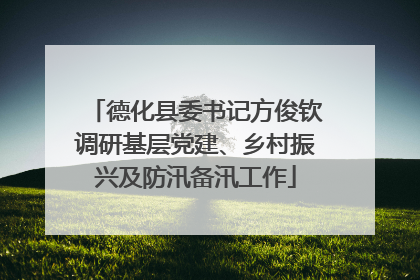 德化县委书记方俊钦调研基层党建、乡村振兴及防汛备汛工作