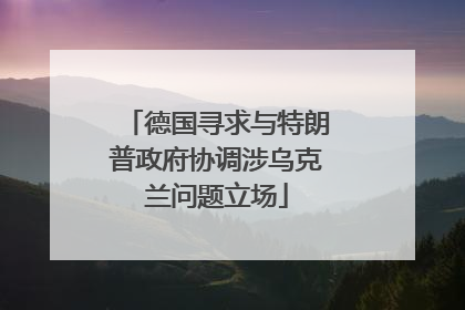德国寻求与特朗普政府协调涉乌克兰问题立场