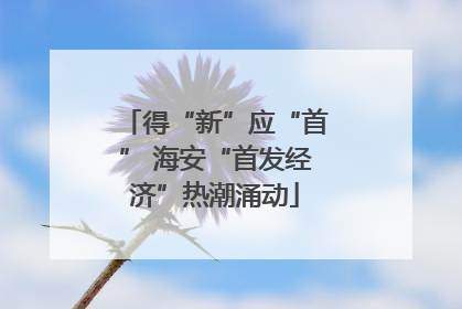 得“新”应“首” 海安“首发经济”热潮涌动
