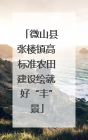 微山县张楼镇高标准农田建设绘就好“丰”景