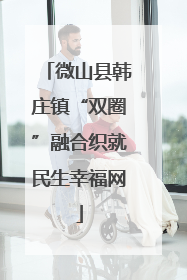 微山县韩庄镇“双圈”融合织就民生幸福网