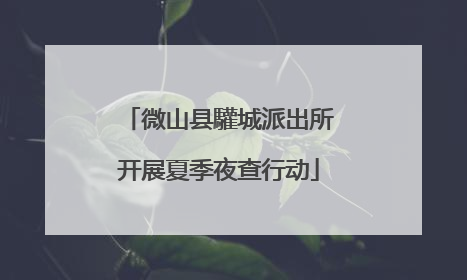 微山县驩城派出所开展夏季夜查行动