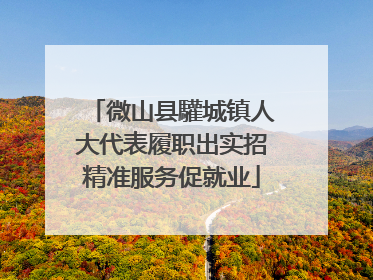 微山县驩城镇人大代表履职出实招精准服务促就业
