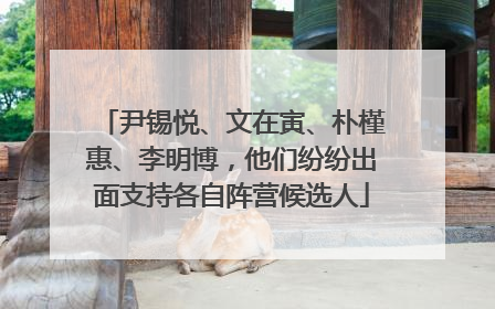 尹锡悦、文在寅、朴槿惠、李明博，他们纷纷出面支持各自阵营候选人