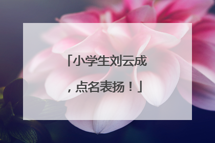 小学生刘云成，点名表扬！