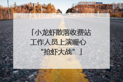 小龙虾散落收费站 工作人员上演暖心“抢虾大战”