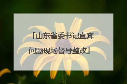 山东省委书记直奔问题现场督导整改