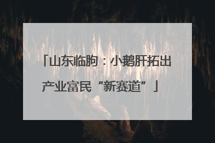 山东临朐：小鹅肝拓出产业富民“新赛道”