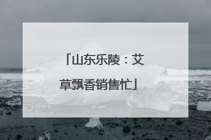 山东乐陵：艾草飘香销售忙