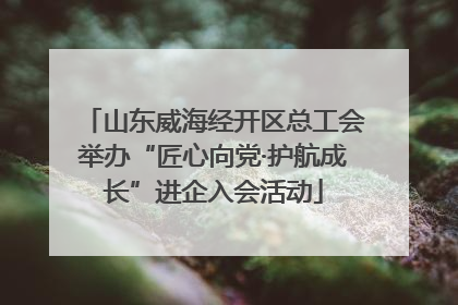 山东威海经开区总工会举办“匠心向党·护航成长”进企入会活动