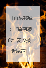 山东郯城：“鲁南粮仓”麦收接近尾声