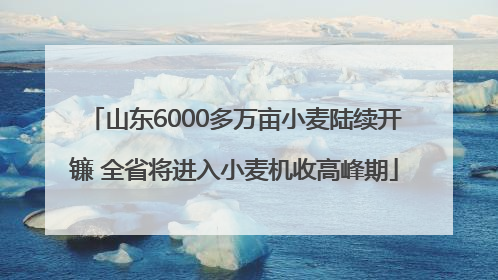 山东6000多万亩小麦陆续开镰 全省将进入小麦机收高峰期