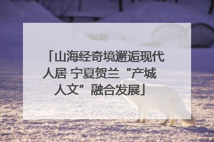 山海经奇境邂逅现代人居 宁夏贺兰“产城人文”融合发展