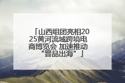 山西组团亮相2025黄河流域跨境电商博览会 加速推动“晋品出海”