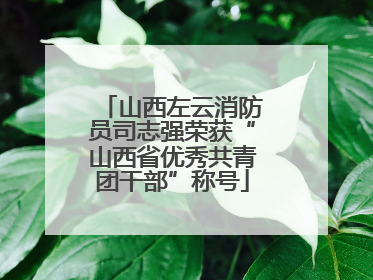 山西左云消防员司志强荣获“山西省优秀共青团干部”称号
