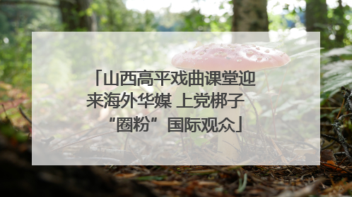 山西高平戏曲课堂迎来海外华媒 上党梆子“圈粉”国际观众