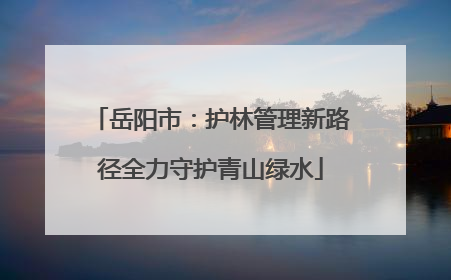 岳阳市：护林管理新路径全力守护青山绿水