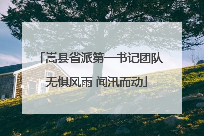 嵩县省派第一书记团队 无惧风雨 闻汛而动